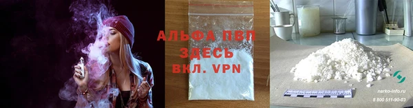 спиды Инсар