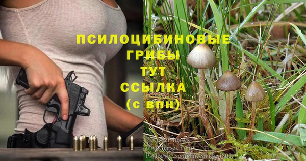 прущая мука Баксан